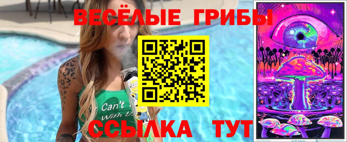 Нерюнгри  как найти закладки  Вход с VPN  Псилоцибиновые грибы GOLDEN TEACHER 
